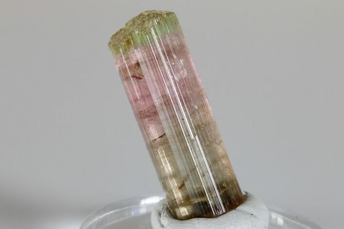 Multicolored Elbaite Tourmaline - Himalaya Mine, California #175534